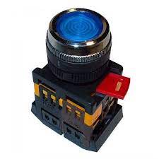 Buton ABLF-22 albastru D-22mm neon/240В 1з+1р Foto