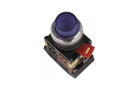 Buton ABLFP-22 albastru D-22mm neon/240В 1з+1р Foto