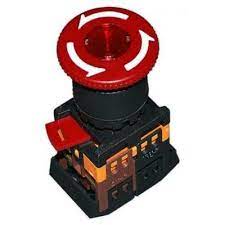 Buton ANE22 "Грибок" cu fixare rosu D-22mm neon/240В Foto