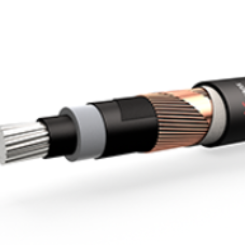 CABLU NA2XS(F)2Y 12/20kV  1x240/50 Foto