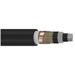 CABLU APvPg 1x120/25-10 Foto