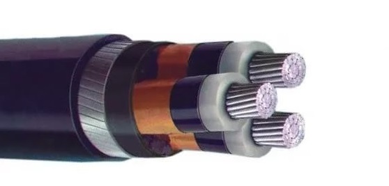 CABLU APvEgP 3x70/16 - 10 Foto