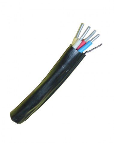 7449.jpg