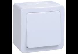 Buton 6A/250V Forix,Alb-IP44 Foto